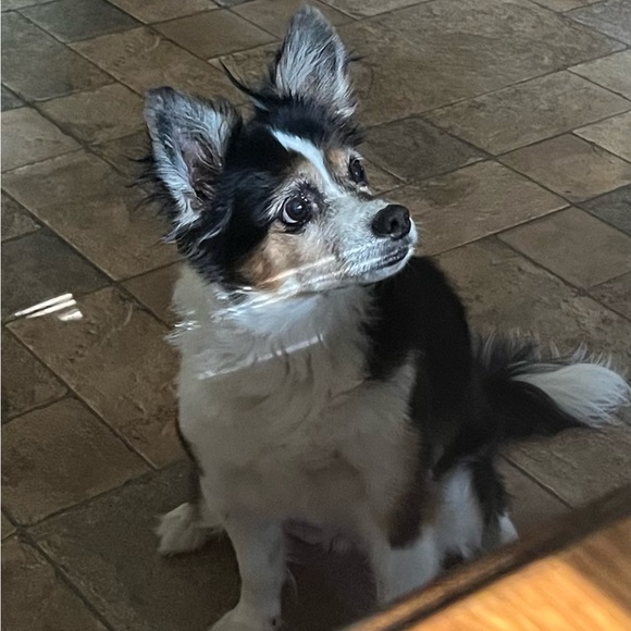 Meet your Posher, Kerry - Picture 8 of 12